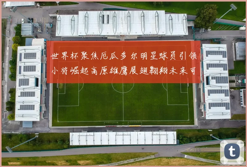 世界杯聚焦厄瓜多尔明星球员引领小将崛起高原雄鹰展翅翱翔未来可期