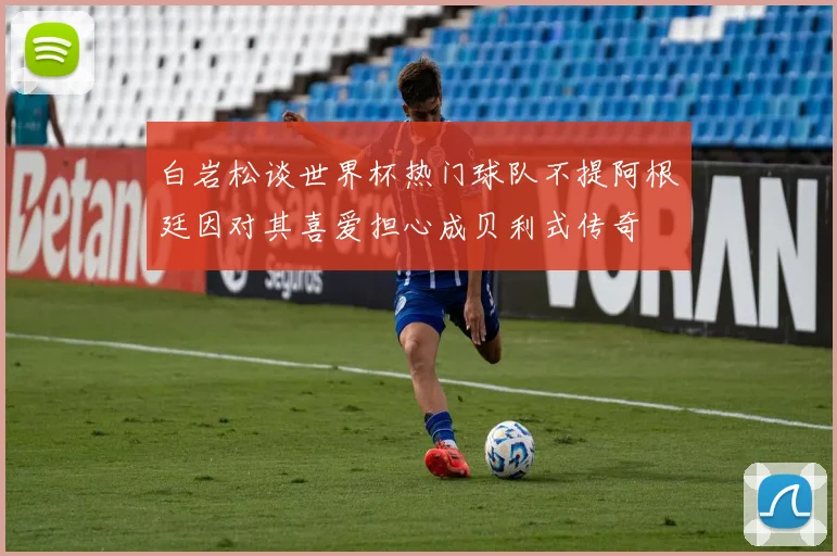 白岩松谈世界杯热门球队不提阿根廷因对其喜爱担心成贝利式传奇